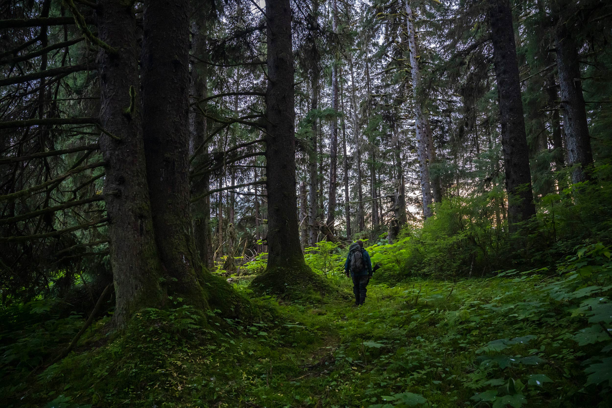 Una prospettiva locale sul ritorno della regola senza strade nel sud-est dell’Alaska