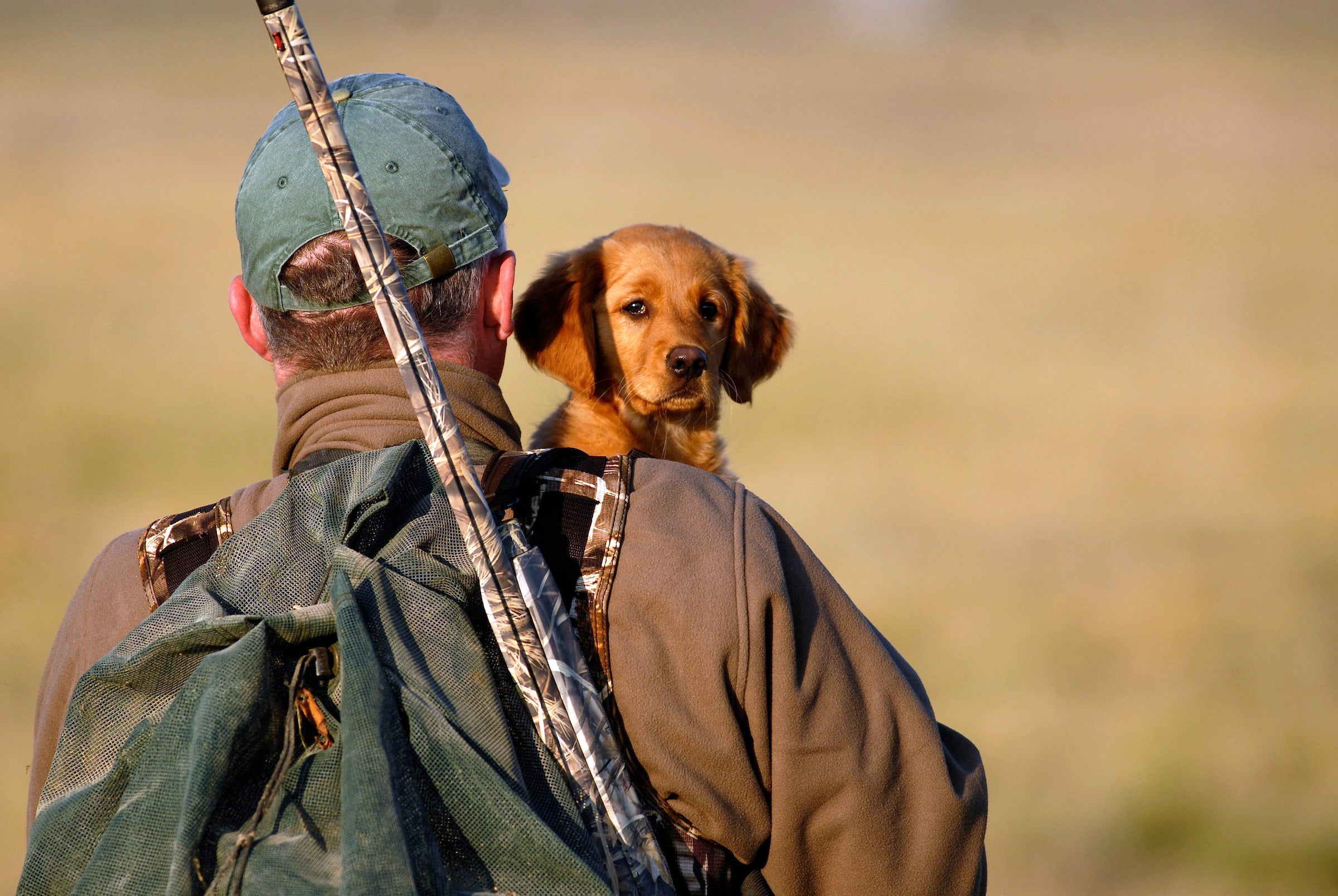 I migliori nomi di cani da caccia