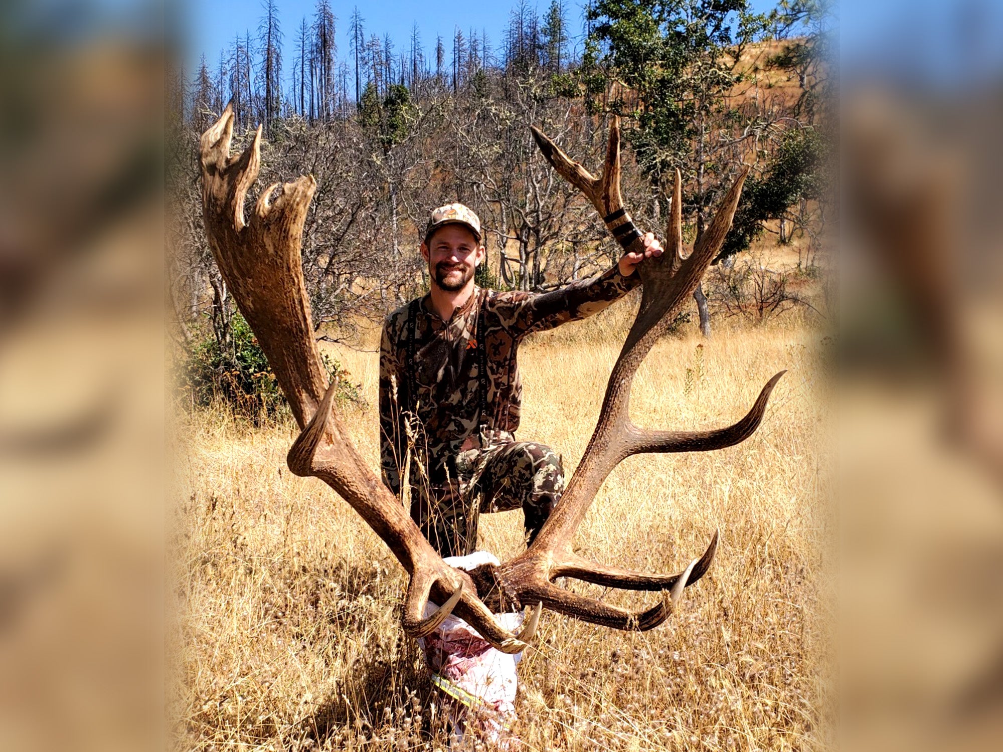 Oregon Bowhunter Arrows State-Report Roosevelt Bull