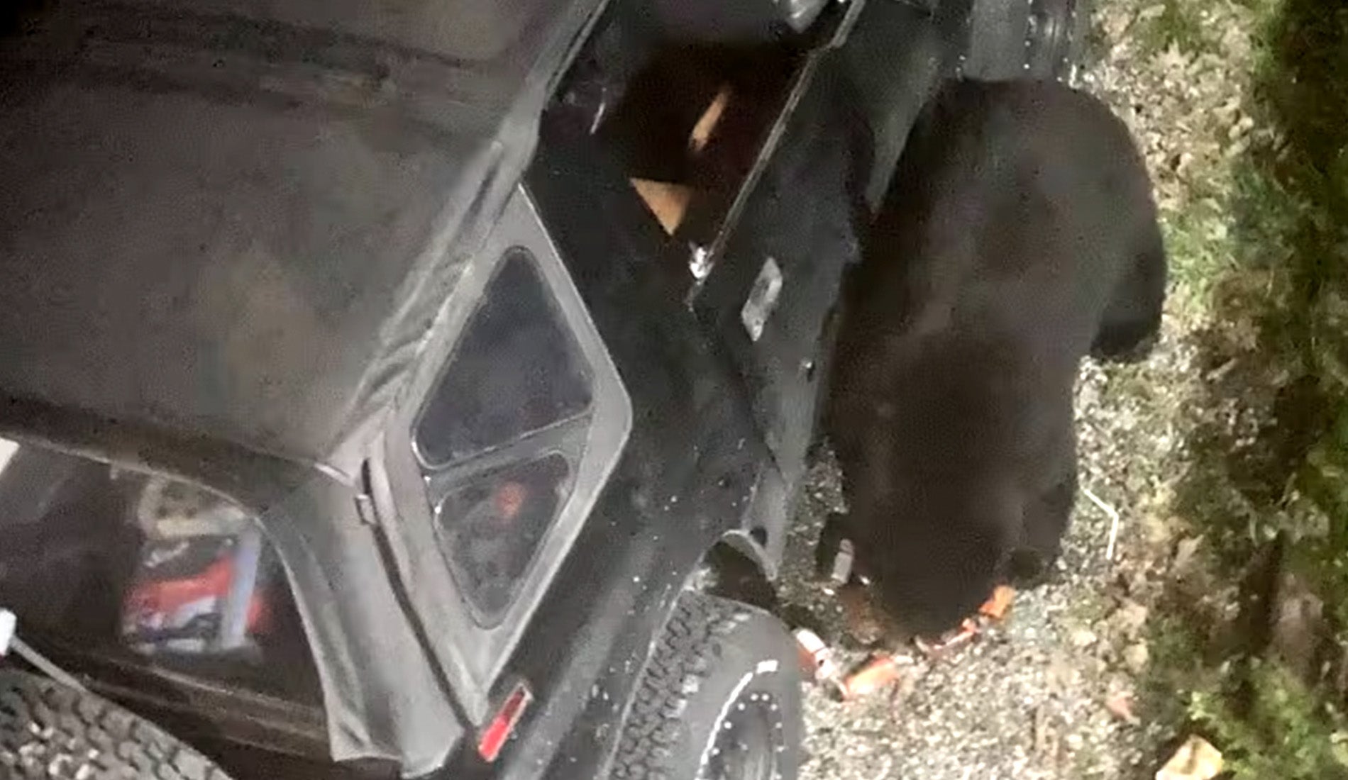 Black Bear irrompe in una jeep, beve 69 lattine di soda