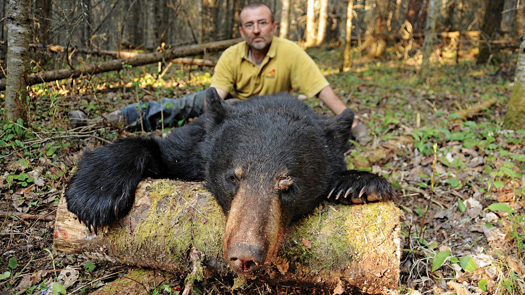 L’ex-comunista Bear Baiter di Dore Lake