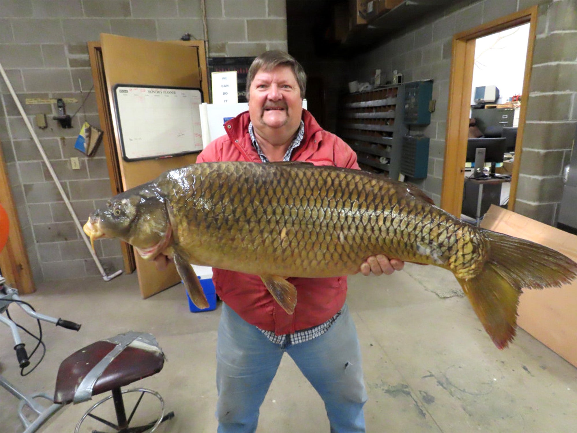 Il pescatore del Nebraska ottiene una carpa comune da report statale